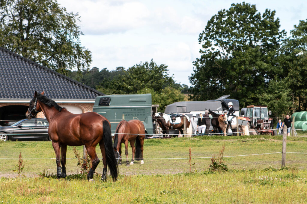 Gråsten Ringridning. Foto: Ole Kæhler