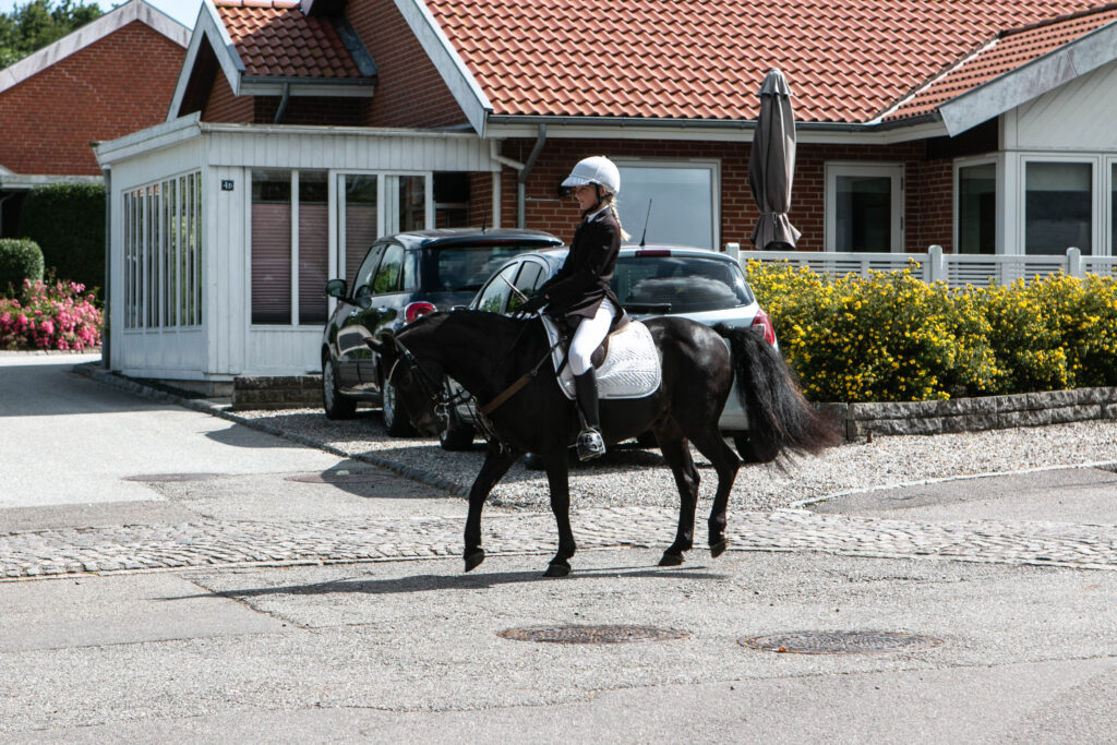 Gråsten Ringridning. Foto: Ole Kæhler