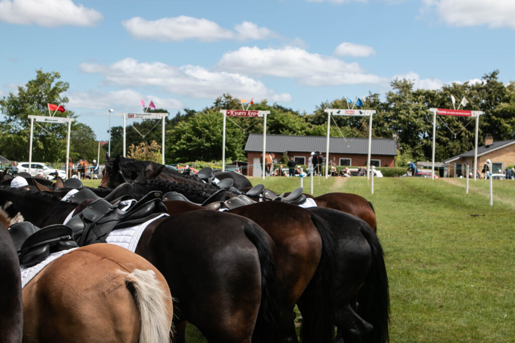 Gråsten Ringridning. Foto: Ole Kæhler