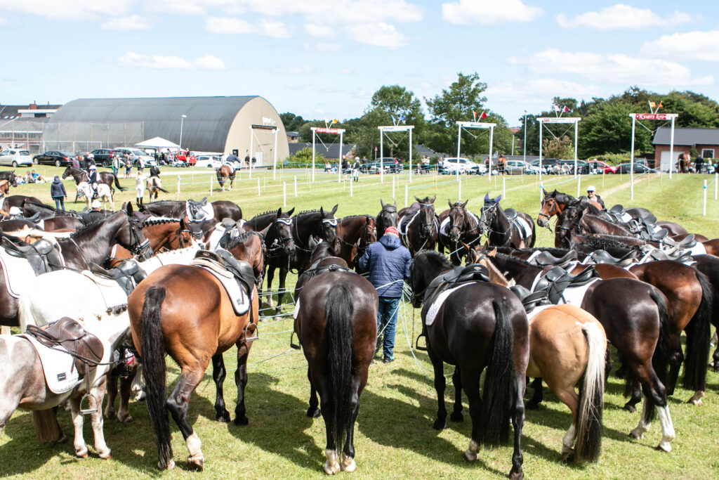 Gråsten Ringridning. Foto: Ole Kæhler