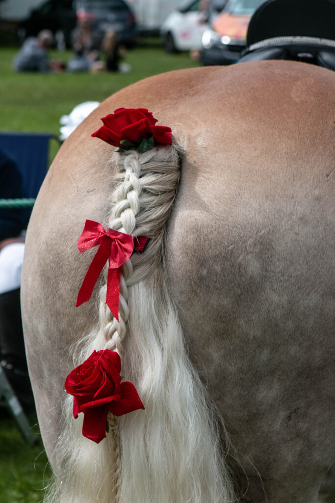 Gråsten Ringridning. Foto: Ole Kæhler
