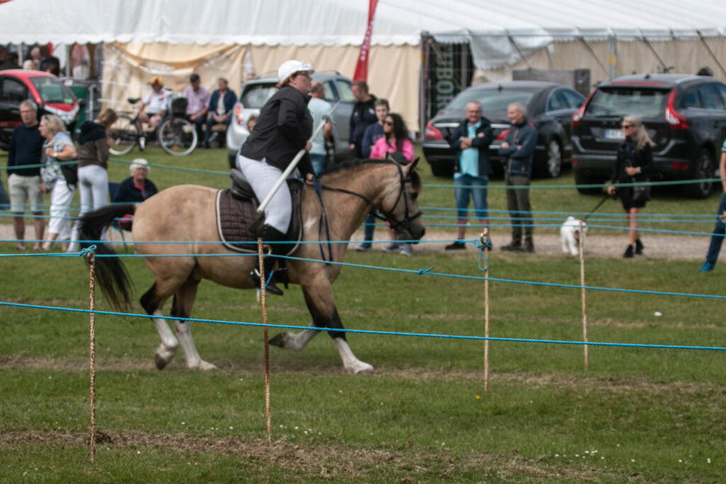 Gråsten Ringridning. Foto: Ole Kæhler
