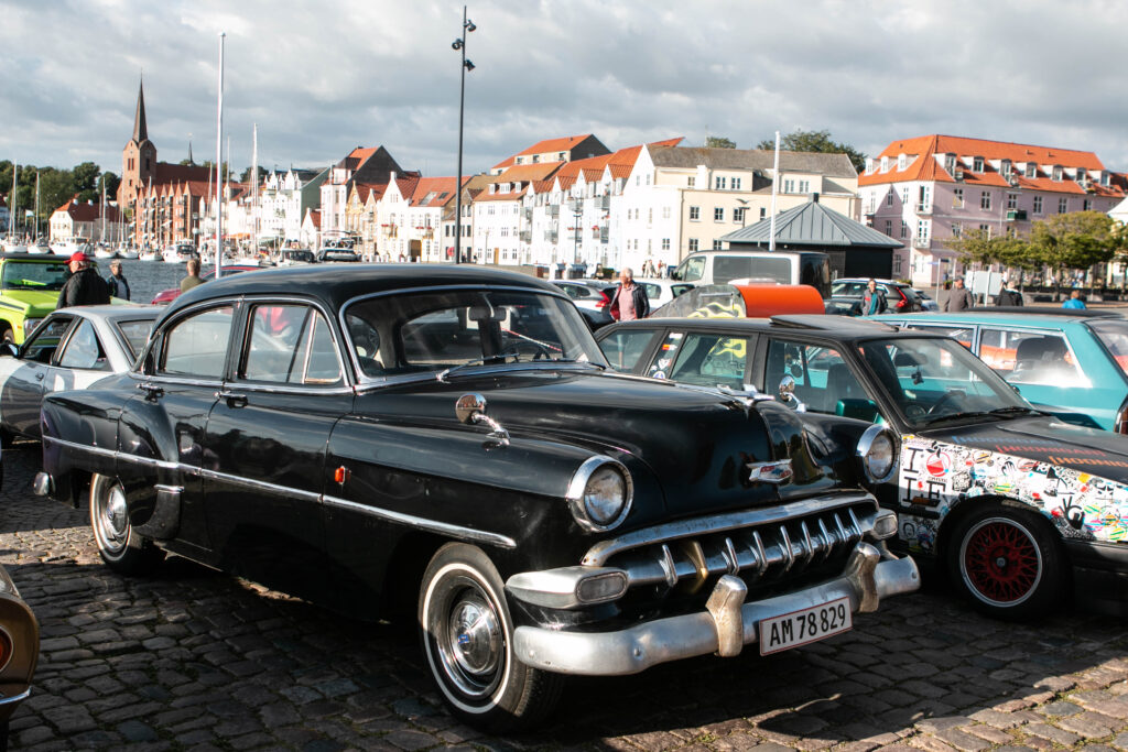 Veteran. Foto: Ole Kæhler