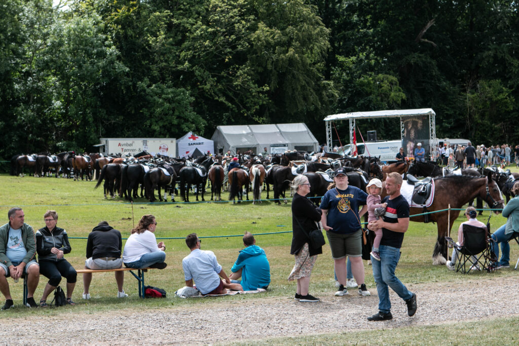 Gråsten Ringridning. Foto: Ole Kæhler