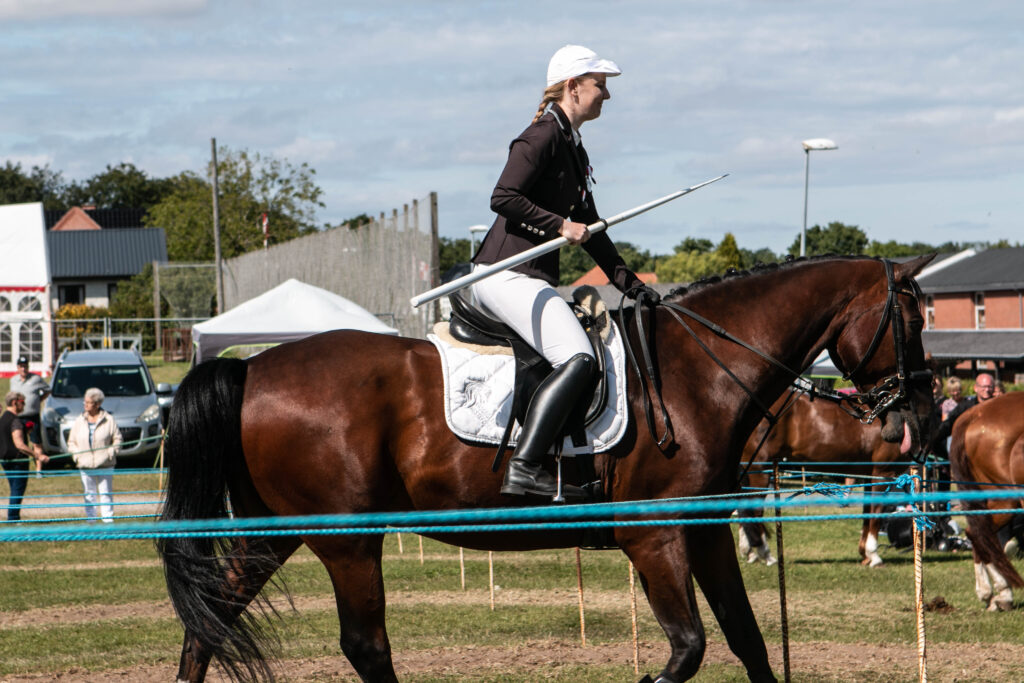 Gråsten Ringridning. Foto: Ole Kæhler