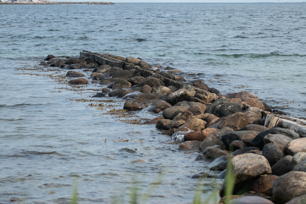 Vandkanten. Foto: Ole Kæhler