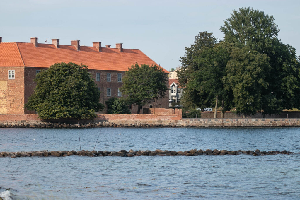 Vandkanten. Foto: Ole Kæhler