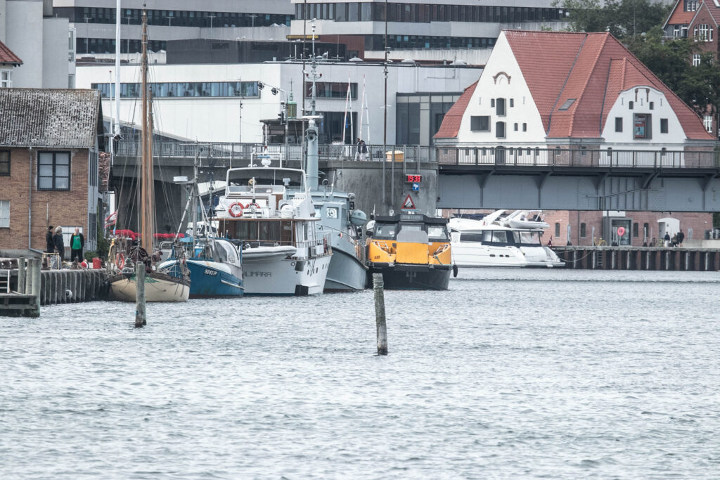 Vandkanten. Foto: Ole Kæhler