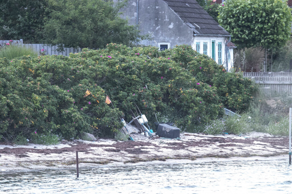 Vandkanten. Foto: Ole Kæhler