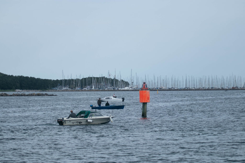 Vandkanten. Foto: Ole Kæhler