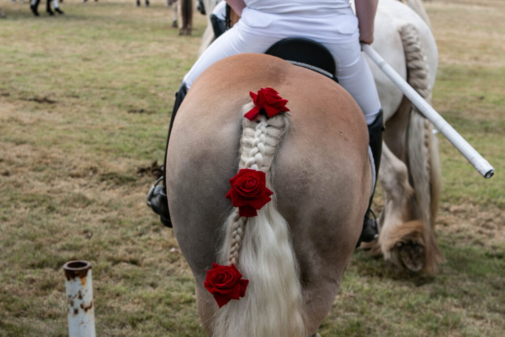 Sundsmark. Foto: Ole Kæhler