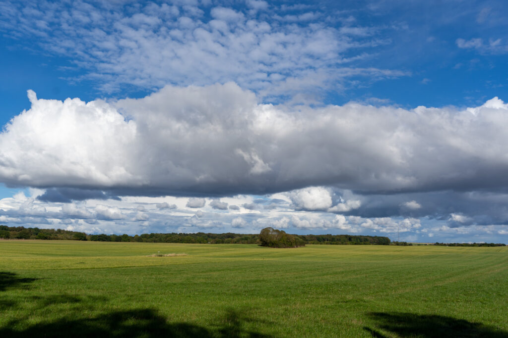 Landbrugsskolen. Bachs Foto