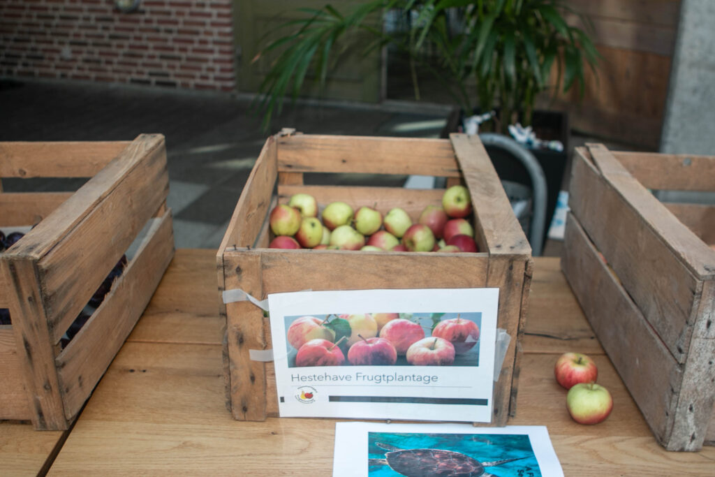 Verdensmål. Foto: Ole Kæhler
