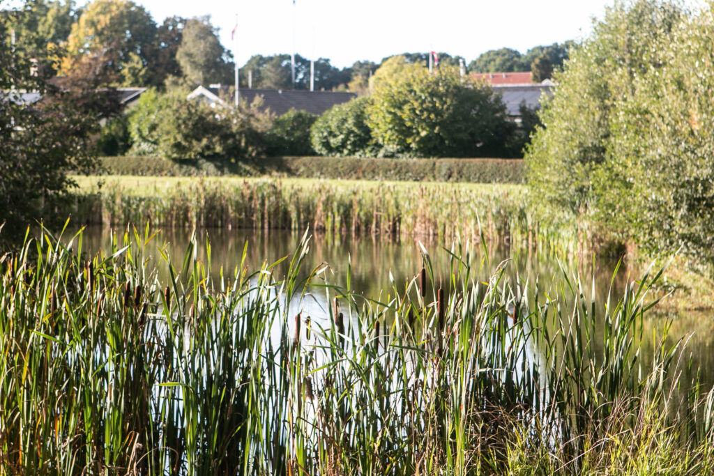 Spejderliv. Foto: Ole Kæhler