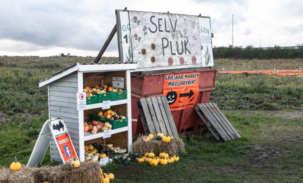 Halloween. Foto: Ole Kæhler