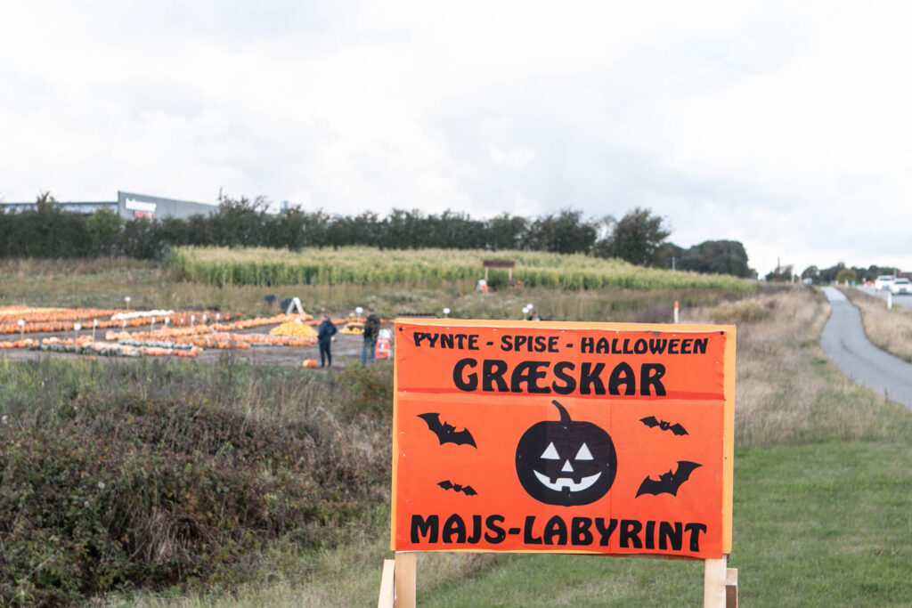 Halloween. Foto: Ole Kæhler