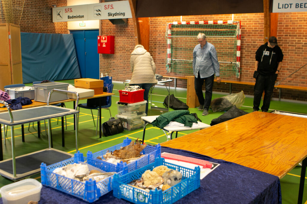 Als-Messe. Foto: Ole Kæhler