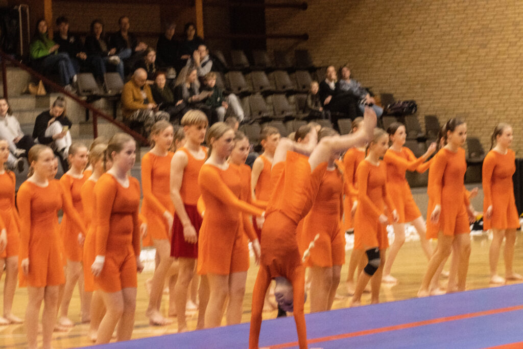 Forårsopvisning. Foto: Ole Kæhler