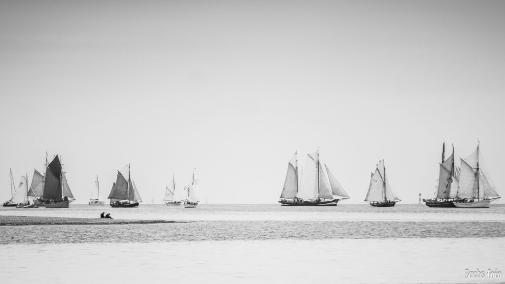 Romregatta-deltagere. Bachs FOTO