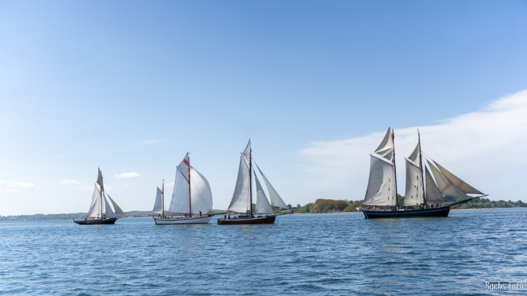 Romregatta-deltagere. Bachs FOTO