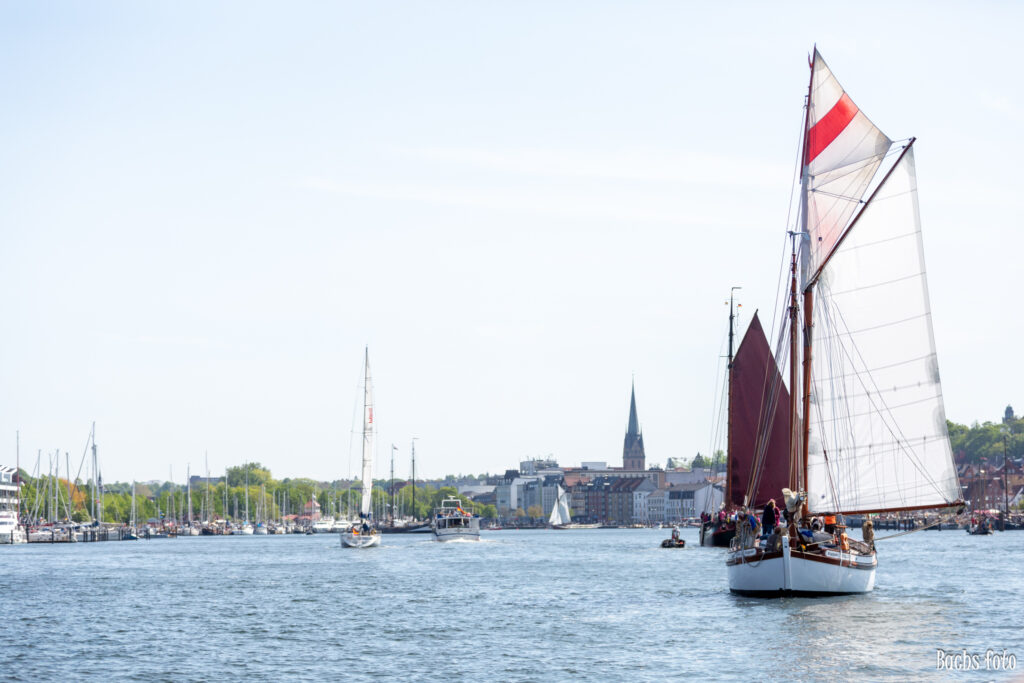 Romregatta-deltagere. Bachs FOTO