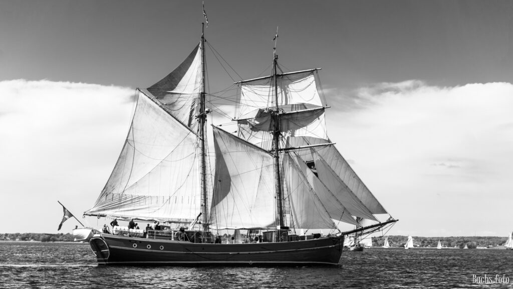 Romregatta-deltagere. Bachs FOTO