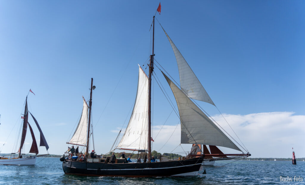 Romregatta-deltagere. Bachs FOTO