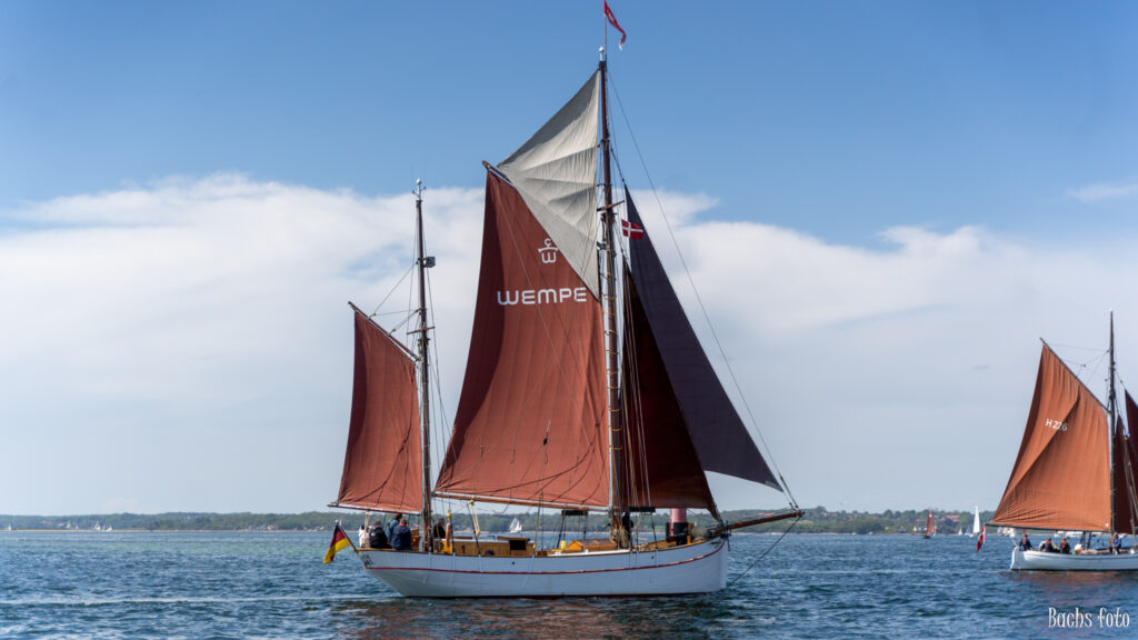 Romregatta-deltagere. Bachs FOTO