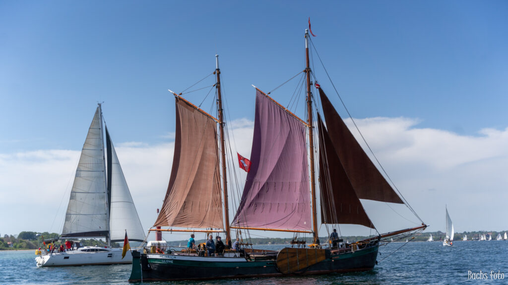 Romregatta-deltagere. Bachs FOTO