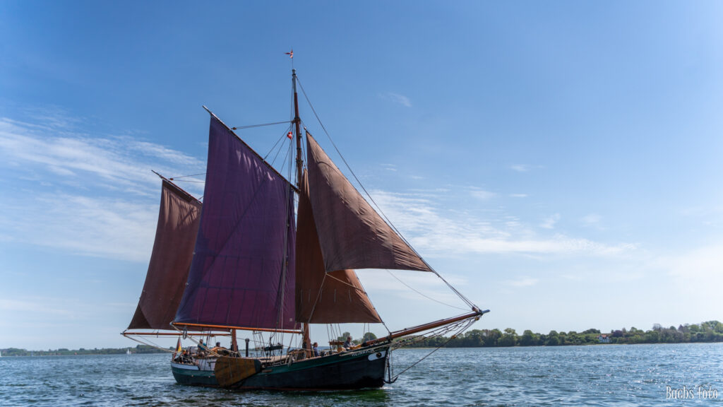Romregatta-deltagere. Bachs FOTO