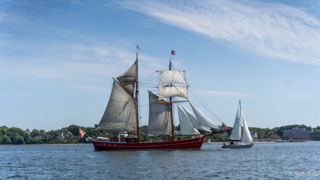 Romregatta-deltagere. Bachs FOTO
