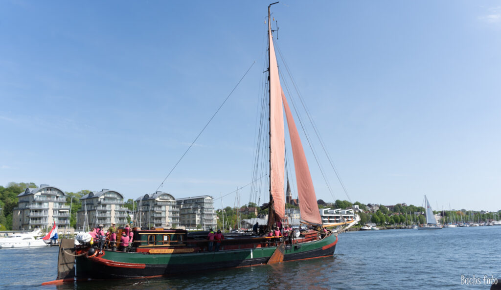 Romregatta-deltagere. Bachs FOTO