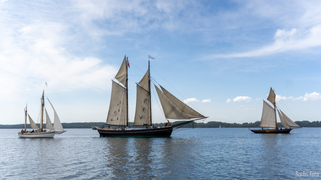 Romregatta-deltagere. Bachs FOTO