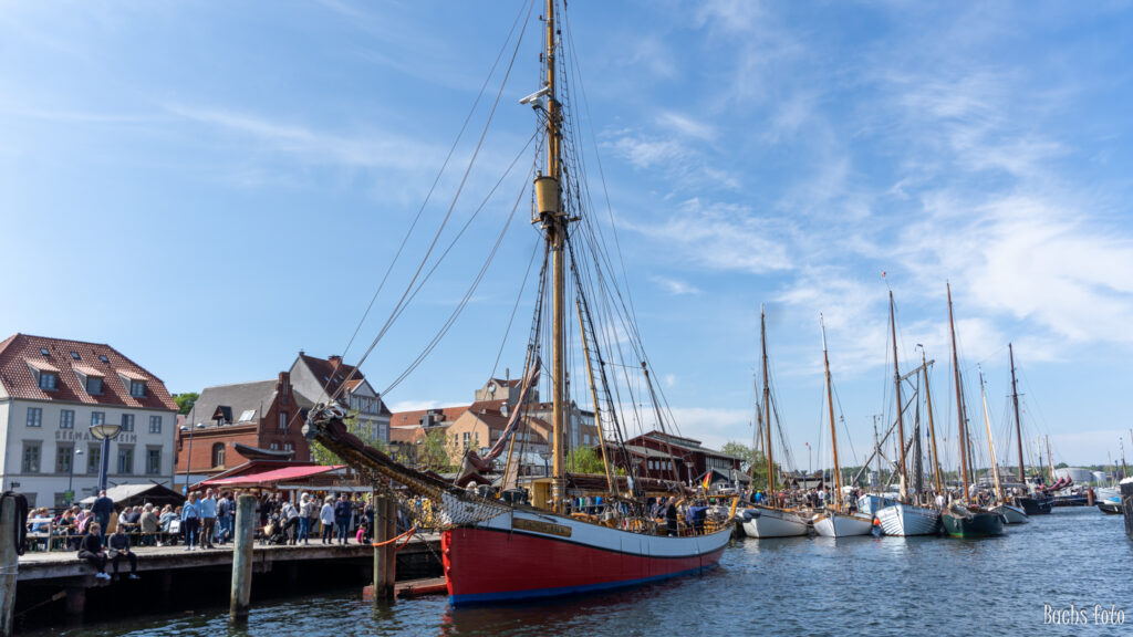 Romregatta-deltagere. Bachs FOTO
