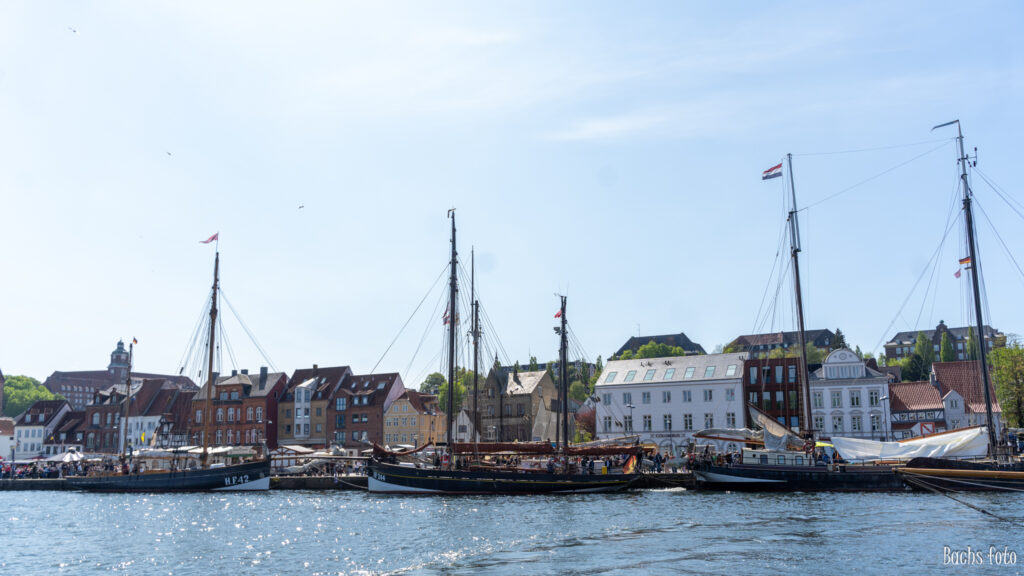 Romregatta-deltagere. Bachs FOTO
