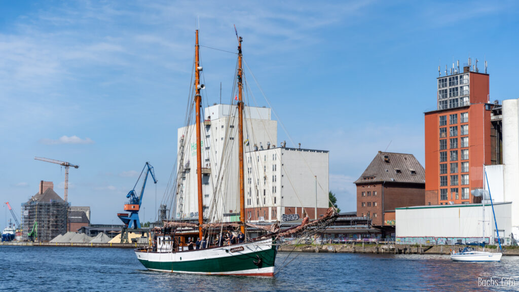 Romregatta-deltagere. Bachs FOTO