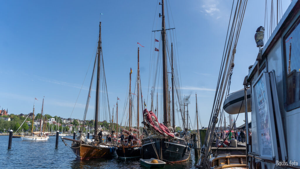 Romregatta-deltagere. Bachs FOTO