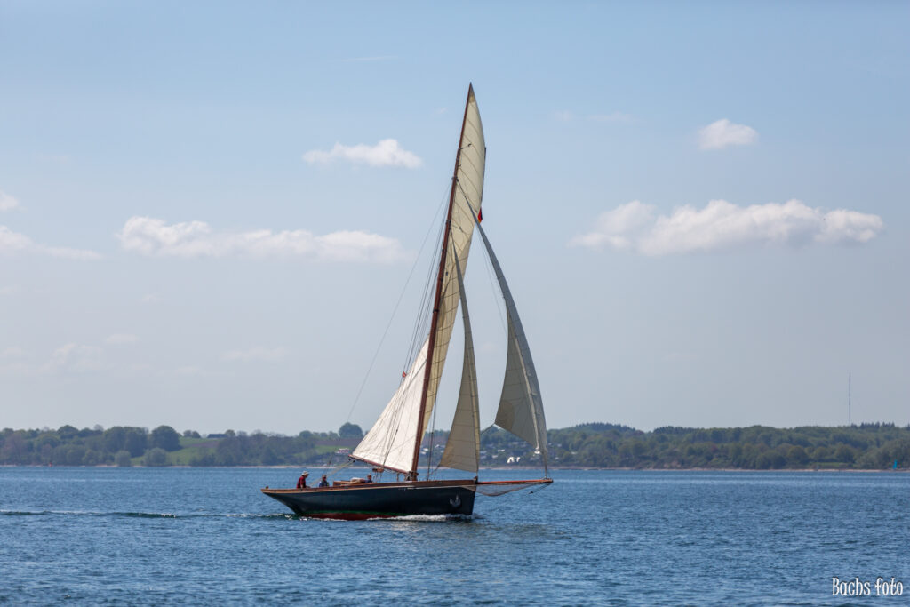 Romregatta-deltagere. Bachs FOTO