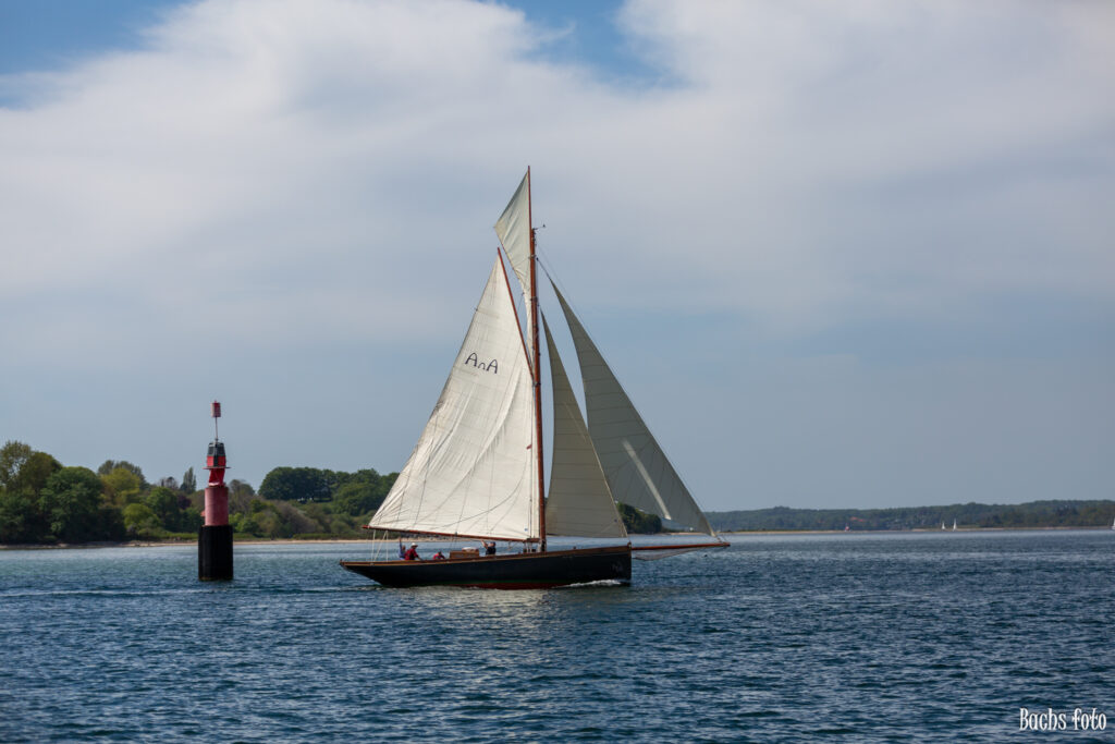 Romregatta-deltagere. Bachs FOTO
