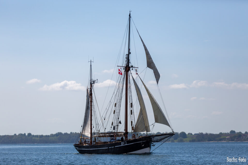 Romregatta-deltagere. Bachs FOTO