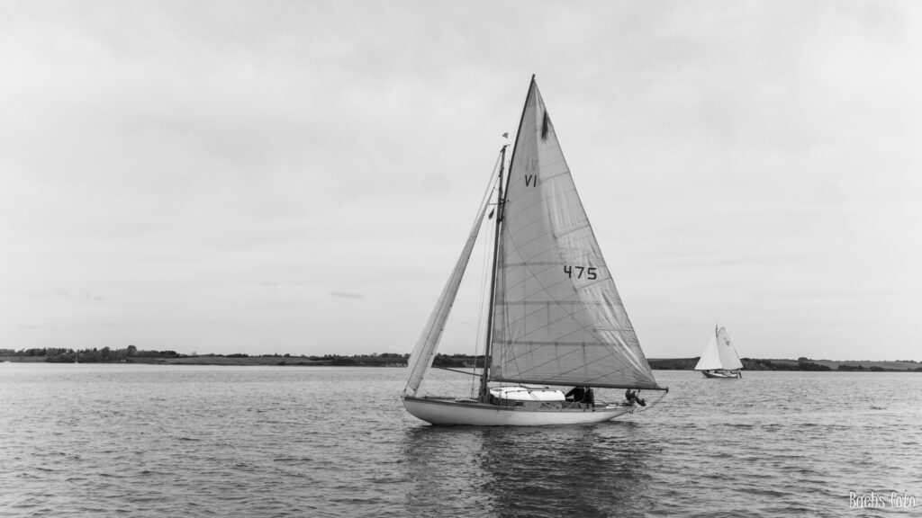 Romregatta-deltagere. Bachs FOTO