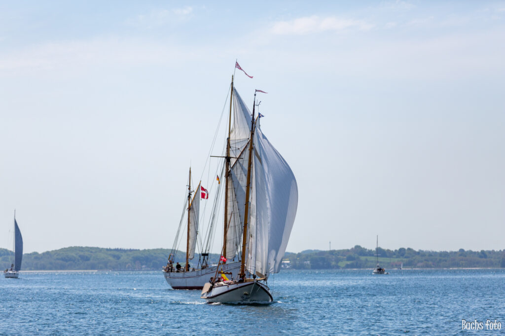 Romregatta-deltagere. Bachs FOTO