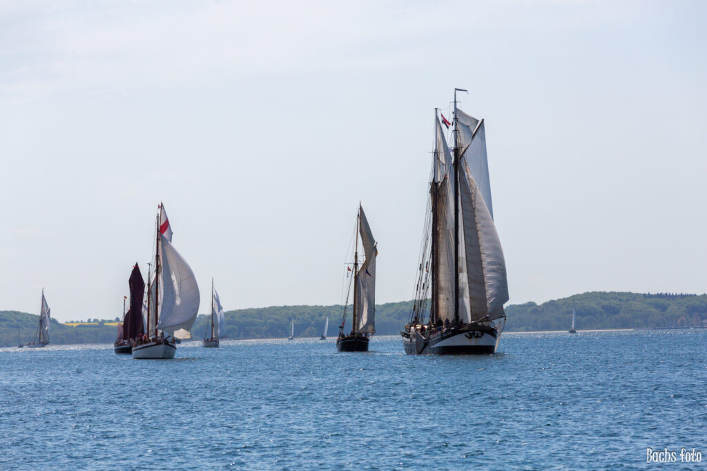 Romregatta-deltagere. Bachs FOTO