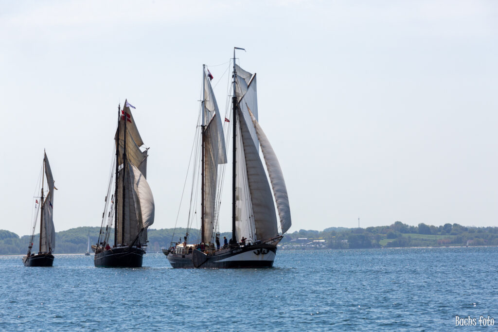 Romregatta-deltagere. Bachs FOTO
