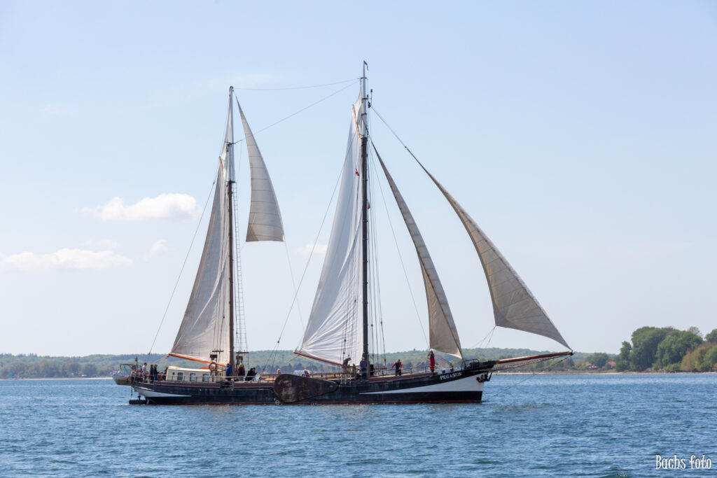 Romregatta-deltagere. Bachs FOTO