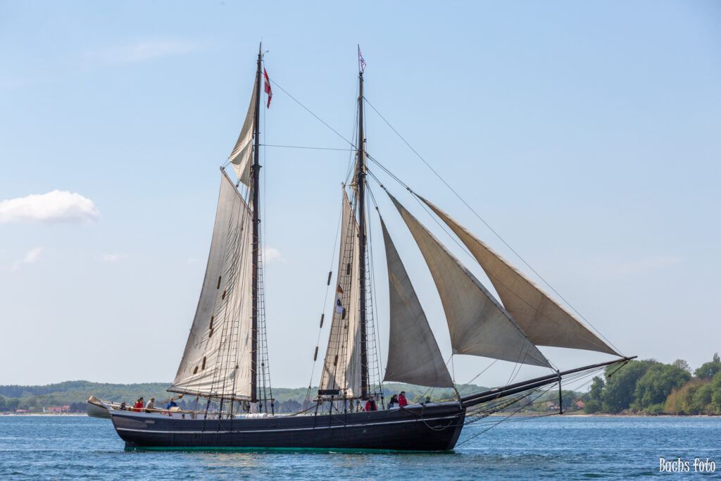 Romregatta-deltagere. Bachs FOTO