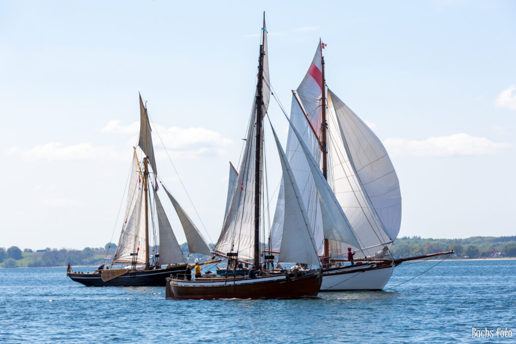 Romregatta-deltagere. Bachs FOTO