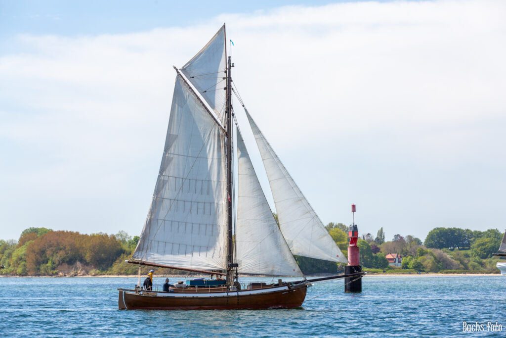 Romregatta-deltagere. Bachs FOTO