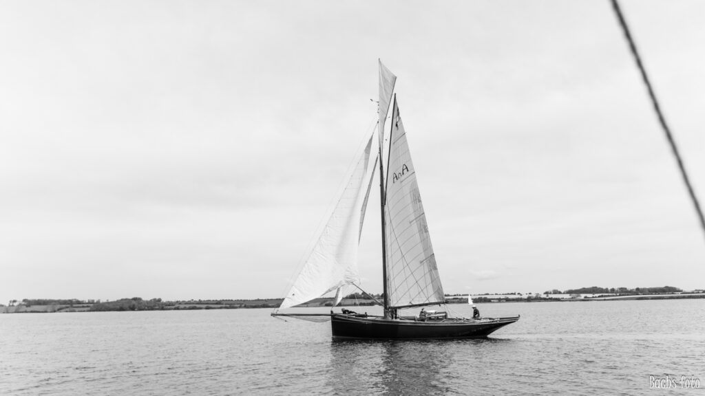 Romregatta-deltagere. Bachs FOTO