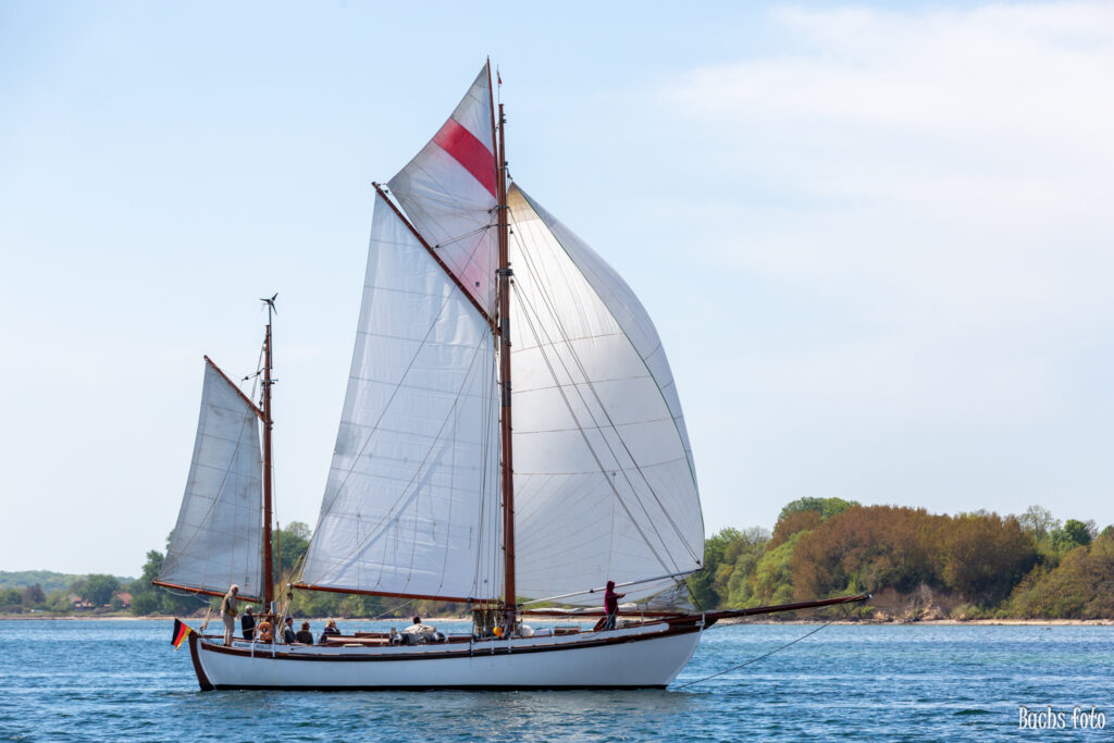 Romregatta-deltagere. Bachs FOTO